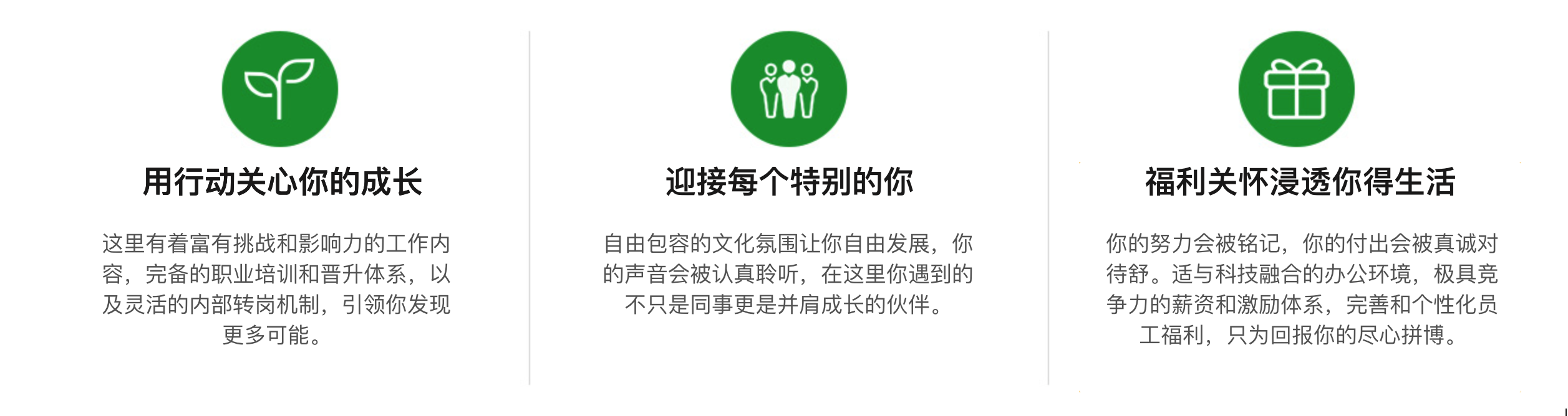 官网-招聘.png